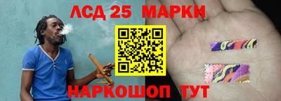 сатива Будённовск