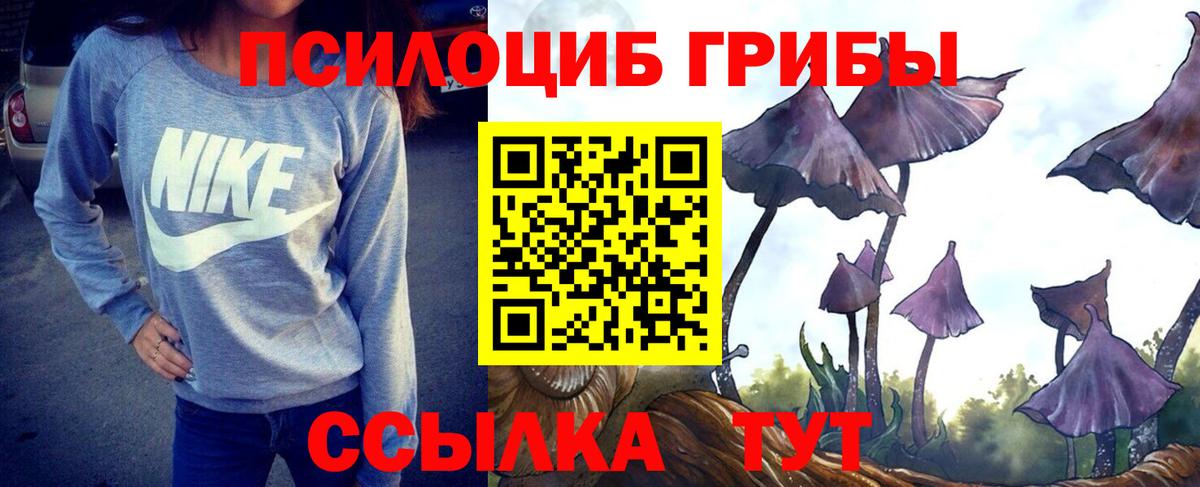 Галлюциногенные грибы ЛСД Полевской